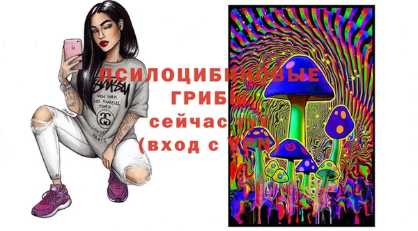молекула духа Зеленокумск