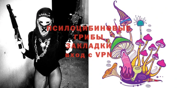 молекула духа Зеленокумск