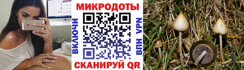 Купить  Западная Двина  Галлюциногенные грибы ЛСД 